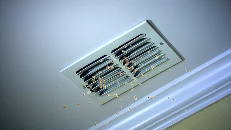 Best HVAC Duct Inspection Services  in Mannford, OK